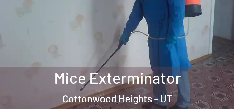  Mice Exterminator Cottonwood Heights - UT