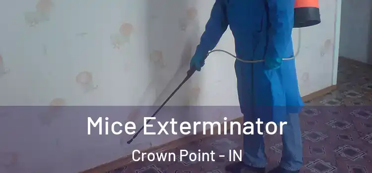 Mice Exterminator Crown Point - IN
