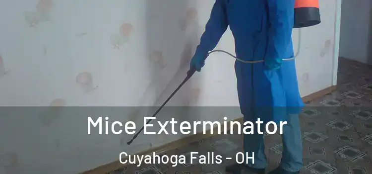  Mice Exterminator Cuyahoga Falls - OH