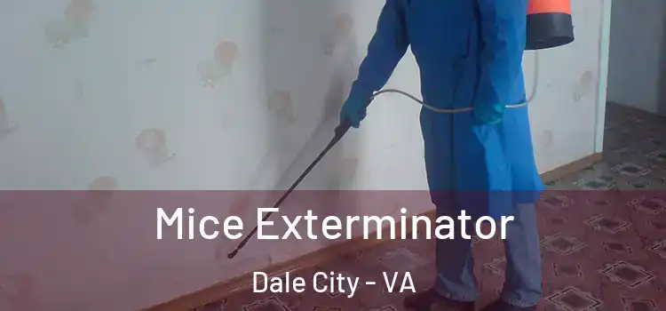  Mice Exterminator Dale City - VA