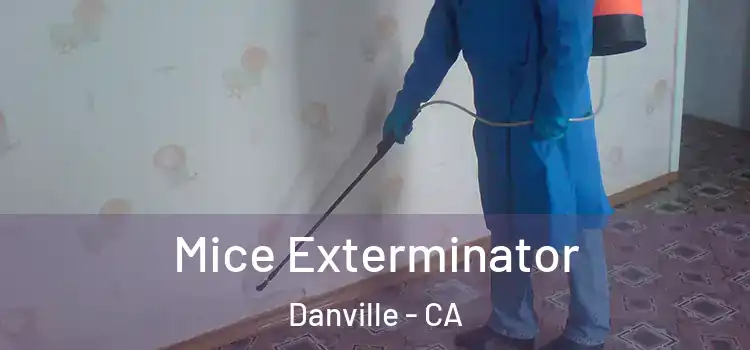  Mice Exterminator Danville - CA