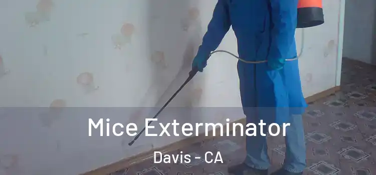  Mice Exterminator Davis - CA