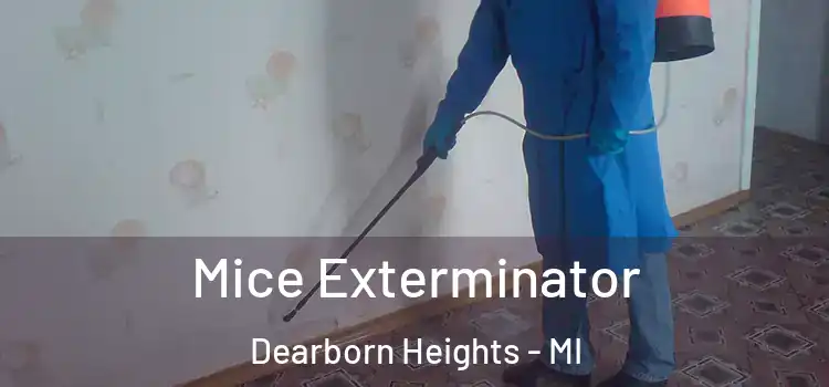 Mice Exterminator Dearborn Heights - MI