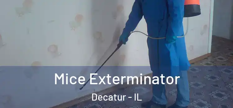 Mice Exterminator Decatur - IL