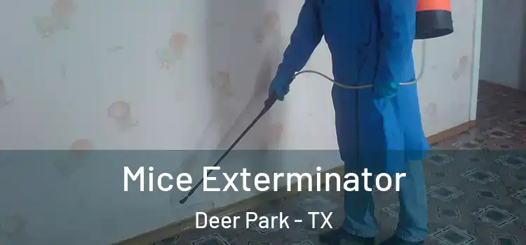  Mice Exterminator Deer Park - TX