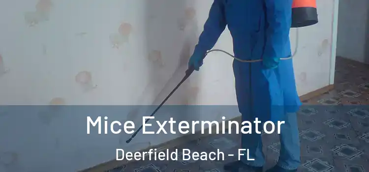  Mice Exterminator Deerfield Beach - FL