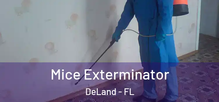  Mice Exterminator DeLand - FL