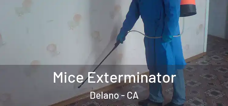  Mice Exterminator Delano - CA