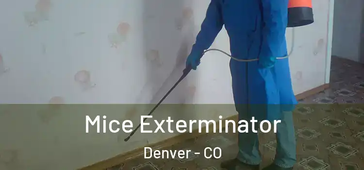  Mice Exterminator Denver - CO