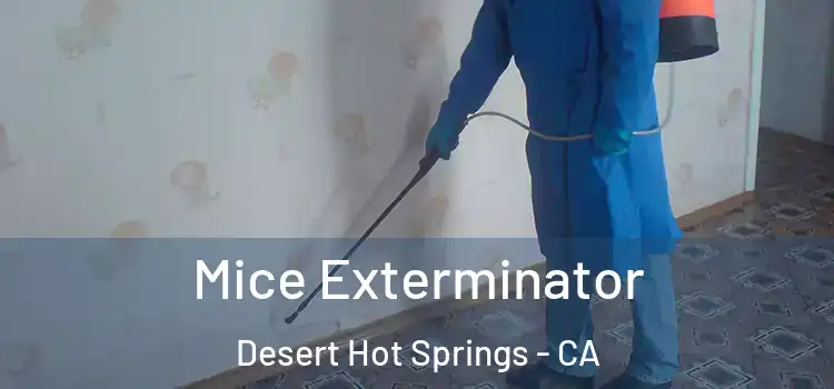 Mice Exterminator Desert Hot Springs - CA