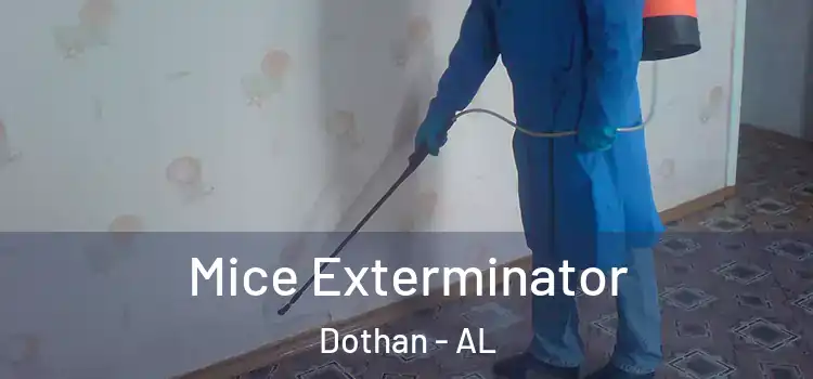  Mice Exterminator Dothan - AL