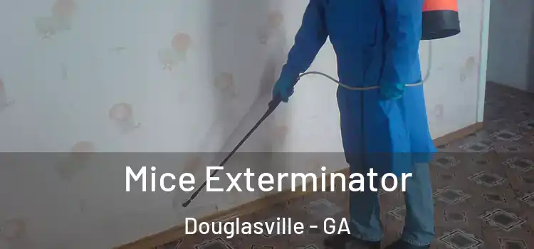  Mice Exterminator Douglasville - GA