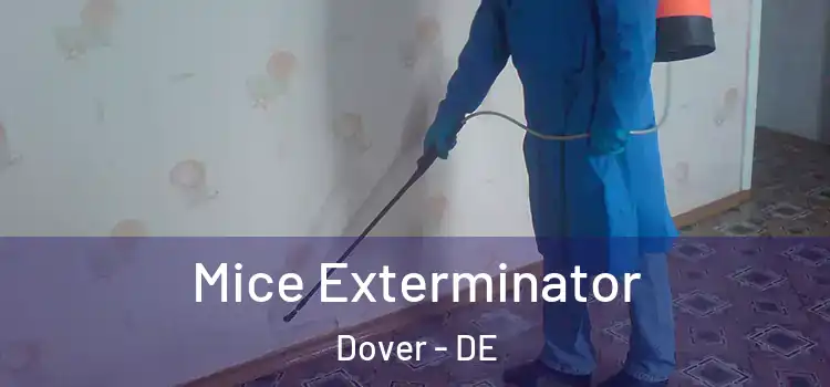 Mice Exterminator Dover - DE