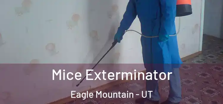  Mice Exterminator Eagle Mountain - UT