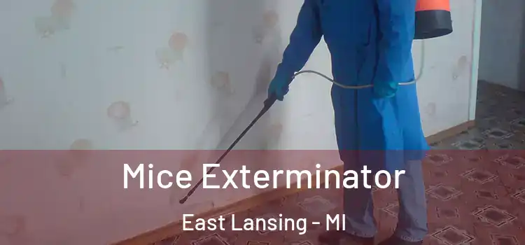 Mice Exterminator East Lansing - MI