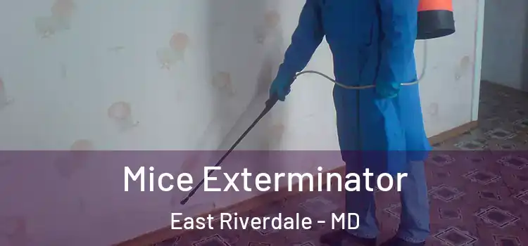  Mice Exterminator East Riverdale - MD