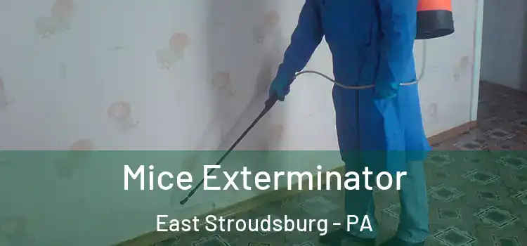  Mice Exterminator East Stroudsburg - PA