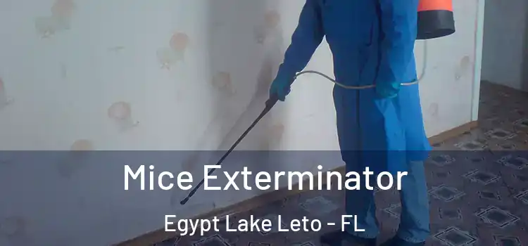  Mice Exterminator Egypt Lake Leto - FL