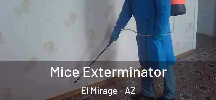  Mice Exterminator El Mirage - AZ