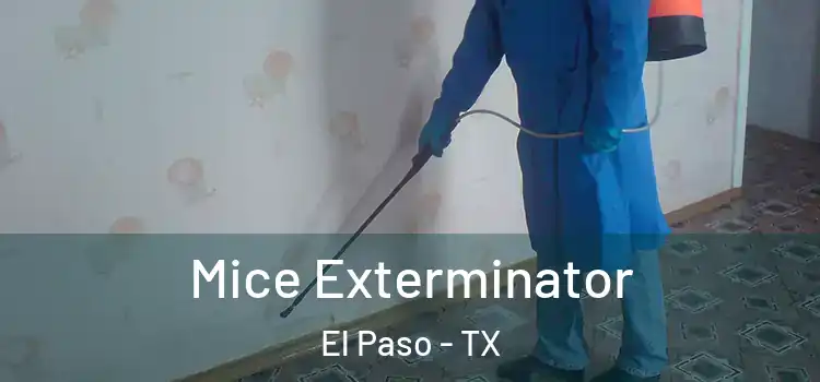  Mice Exterminator El Paso - TX
