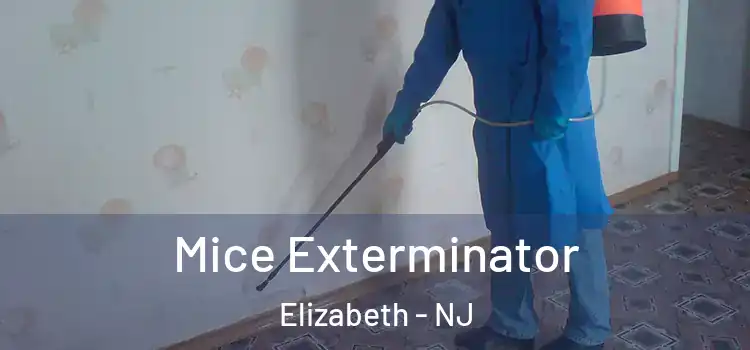  Mice Exterminator Elizabeth - NJ