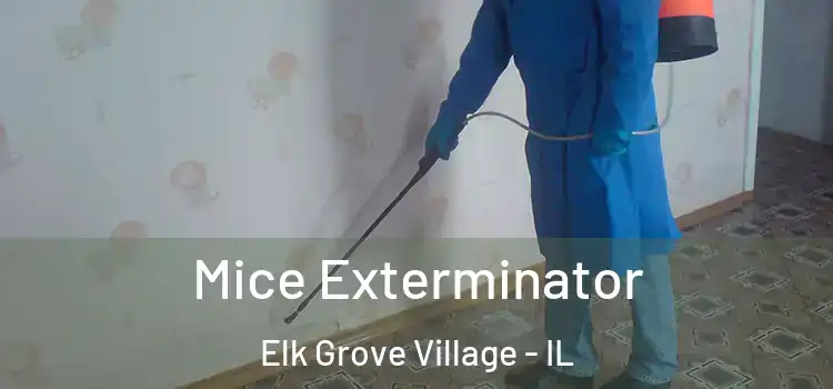 Mice Exterminator Elk Grove Village - IL