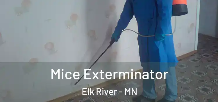 Mice Exterminator Elk River - MN
