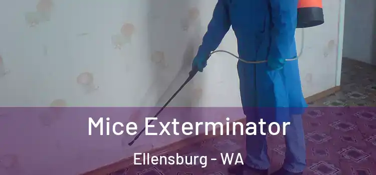  Mice Exterminator Ellensburg - WA