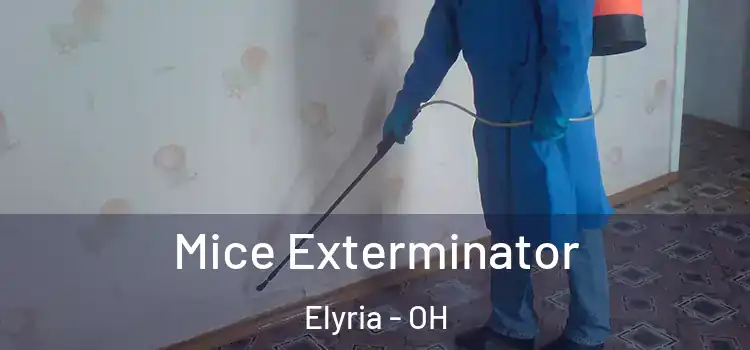 Mice Exterminator Elyria - OH