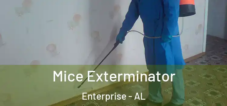 Mice Exterminator Enterprise - AL