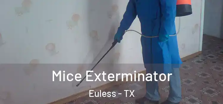 Mice Exterminator Euless - TX