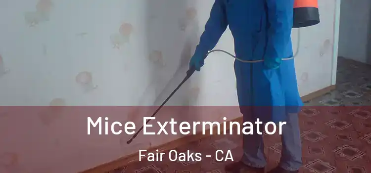  Mice Exterminator Fair Oaks - CA