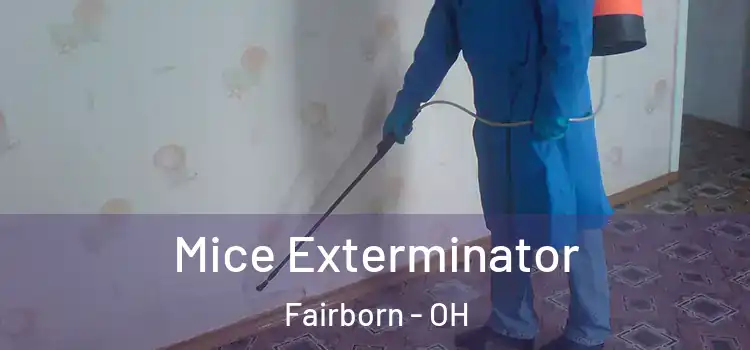 Mice Exterminator Fairborn - OH