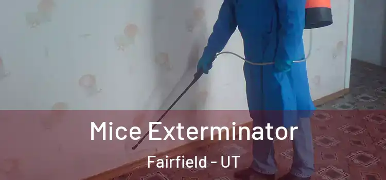  Mice Exterminator Fairfield - UT