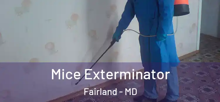  Mice Exterminator Fairland - MD