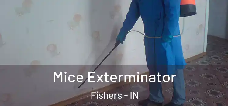 Mice Exterminator Fishers - IN