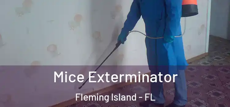 Mice Exterminator Fleming Island - FL