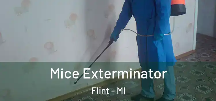 Mice Exterminator Flint - MI