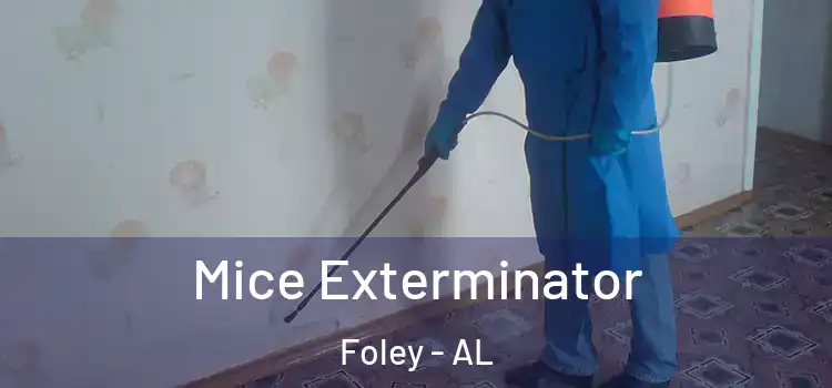 Mice Exterminator Foley - AL