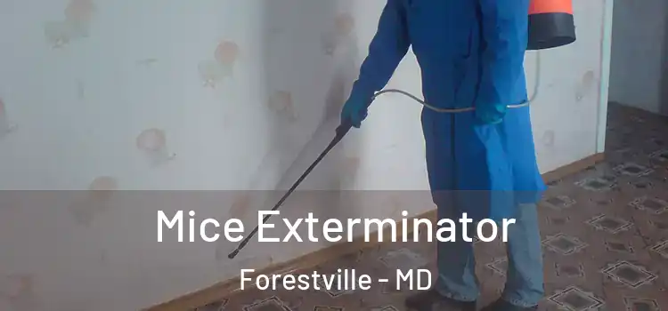  Mice Exterminator Forestville - MD
