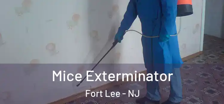 Mice Exterminator Fort Lee - NJ