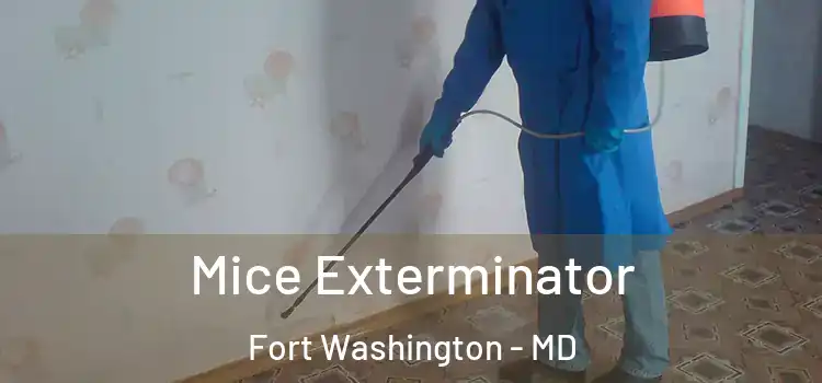  Mice Exterminator Fort Washington - MD