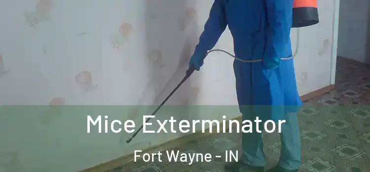  Mice Exterminator Fort Wayne - IN
