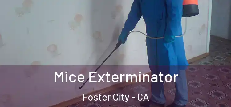  Mice Exterminator Foster City - CA