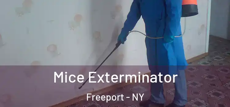  Mice Exterminator Freeport - NY