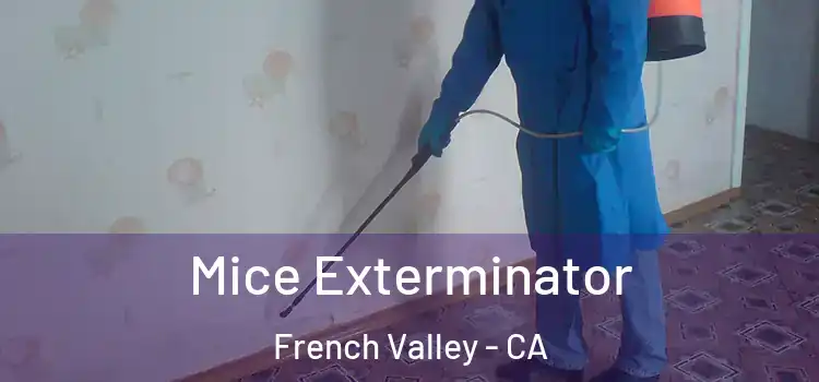  Mice Exterminator French Valley - CA