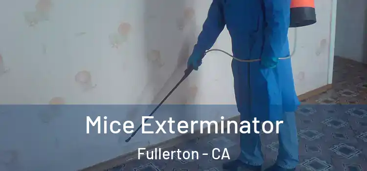  Mice Exterminator Fullerton - CA