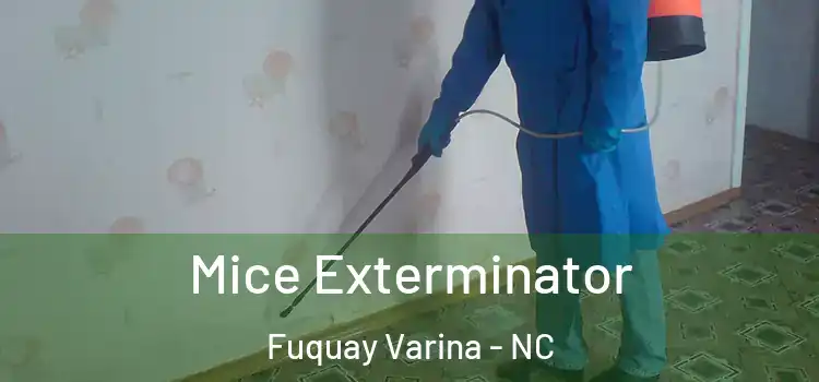 Mice Exterminator Fuquay Varina - NC