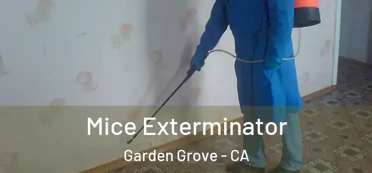  Mice Exterminator Garden Grove - CA