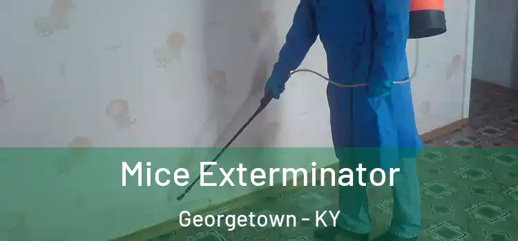  Mice Exterminator Georgetown - KY